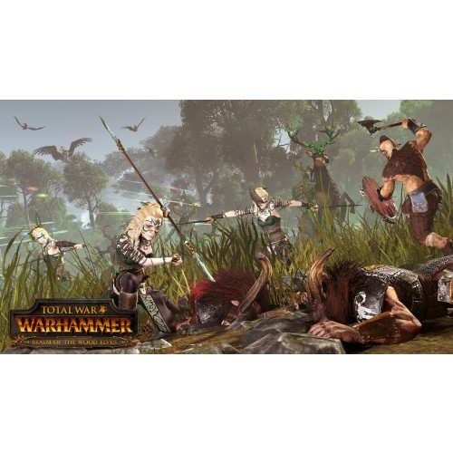 Total War WARHAMMER Realm of The Wood Elves