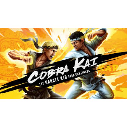 Cobra Kai: The Karate Kid Saga Continues