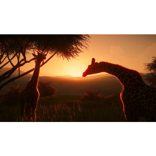 Planet Zoo: Console Edition