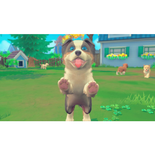 My Universe - Puppies & Kittens