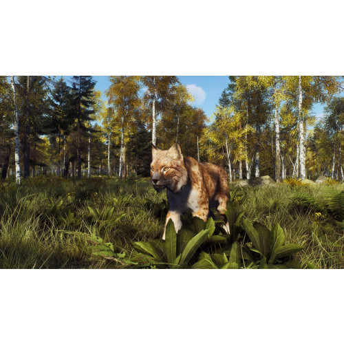 Way of the Hunter Wild Expeditions