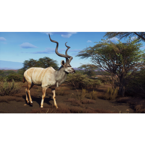 Way of the Hunter Wild Expeditions