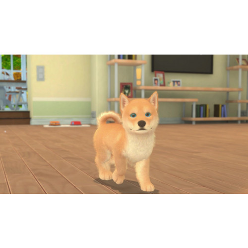 My Universe - Puppies & Kittens