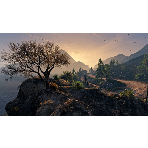 Grand Theft Auto V Enhanced + Great White Shark Card