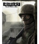 Insurgency
