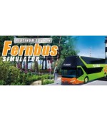 Fernbus Simulator Platinum Edition