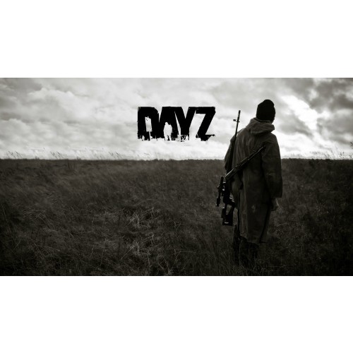 DayZ