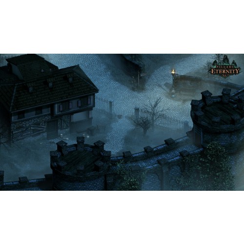 Pillars of Eternity Hero Edition