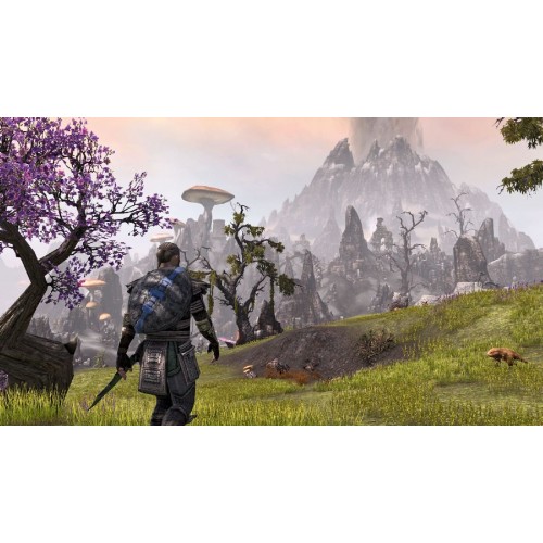 The Elder Scrolls Online