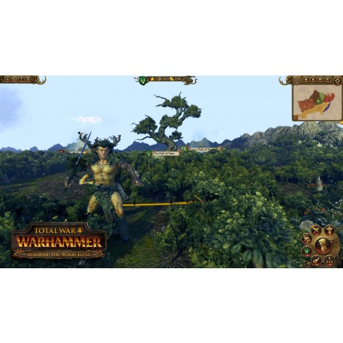 Total War WARHAMMER Realm of The Wood Elves