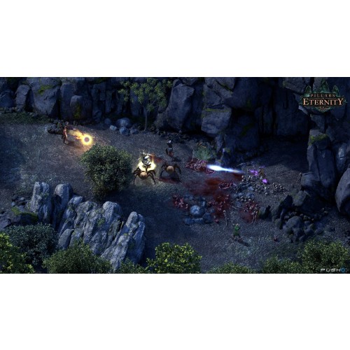 Pillars of Eternity Hero Edition