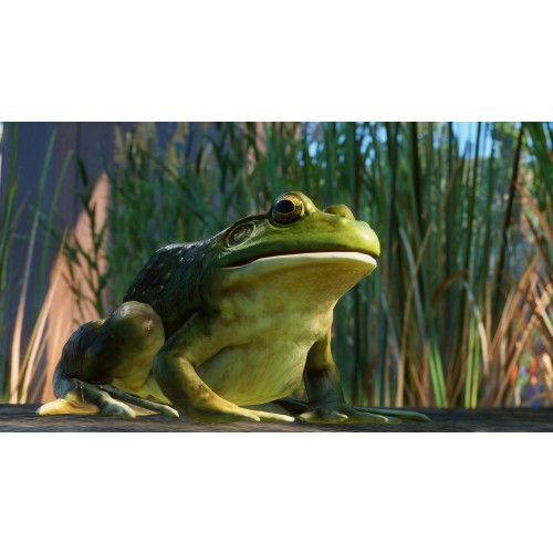 Planet Zoo: North American Animal Pack