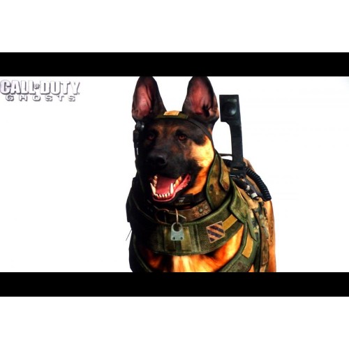 Call of Duty Ghosts