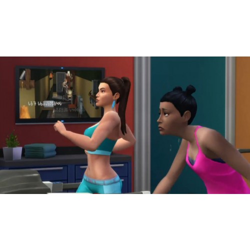 The Sims 4 Fitness Stuff