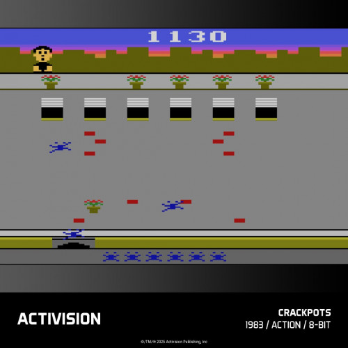 Evercade Activision Collection 1