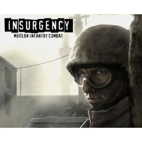 Insurgency