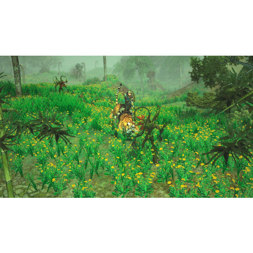 Sacred 2 Remaster