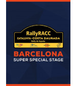 WRC 9 - Barcelona SSS