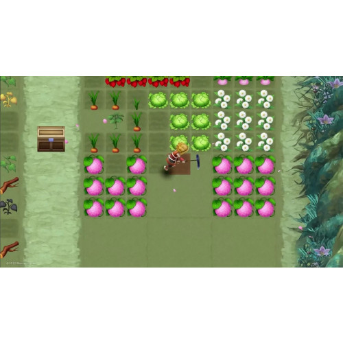 Rune Factory 3 Special - Limited Edition