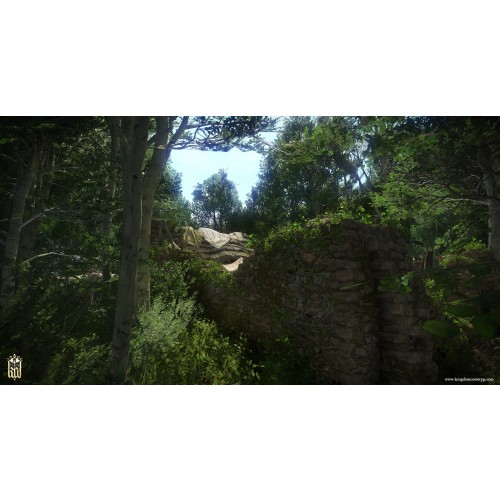 Kingdom Come Deliverance - The Amorous Adventures of Bold Sir Hans Capon DLC
