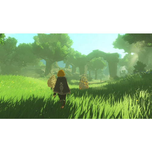 Hyrule Warriors: Age of Imprisonment