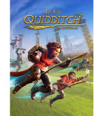 Harry Potter: Quidditch Champions