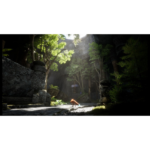 Spirit of the North 2