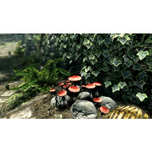 The Elder Scrolls V: Skyrim Special Edition