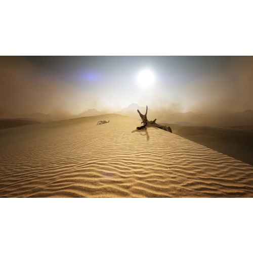 Black Desert: Traveler Edition