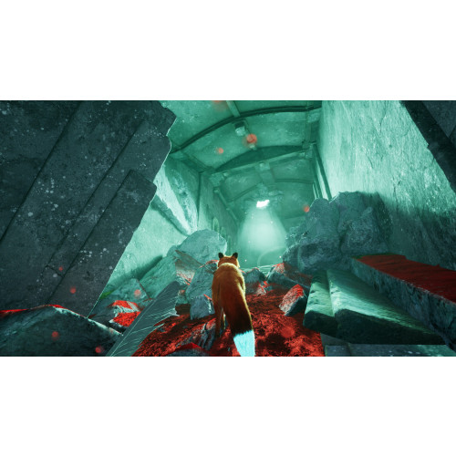 Spirit of the North 2