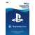 PSN Card 100 PLN ( PL)