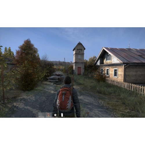 DayZ