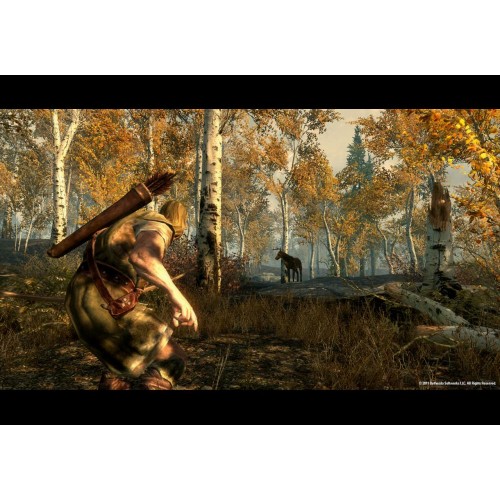 The Elder Scrolls V Skyrim