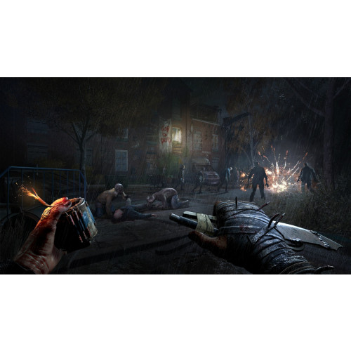 Dying Light: The Beast