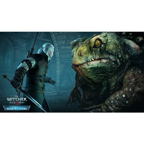 The Witcher 3 Wild Hunt Hearts of Stone 
