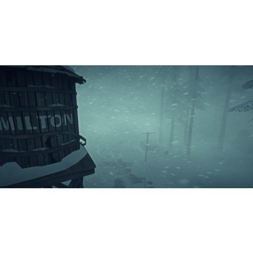 The Long Dark