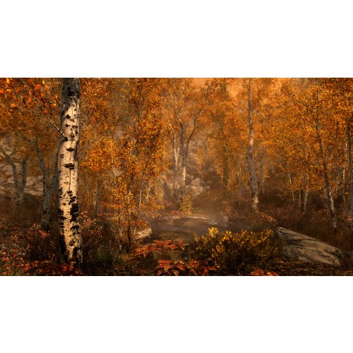 The Elder Scrolls V: Skyrim Special Edition