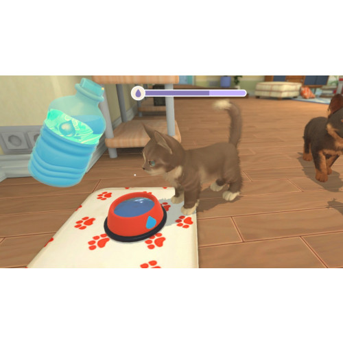 My Universe - Puppies & Kittens