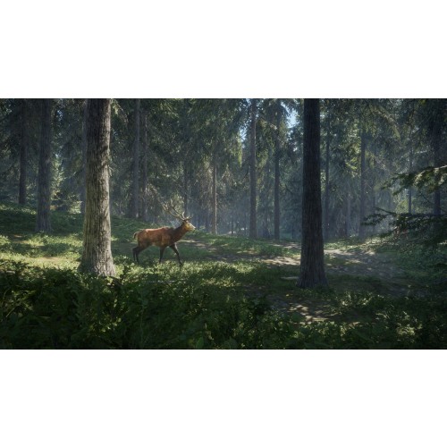 theHunter Call of the Wild