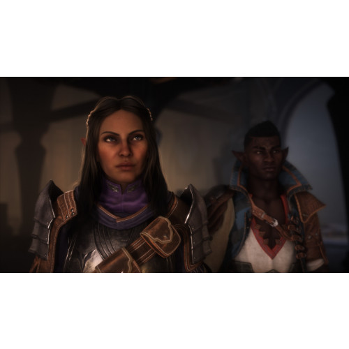 DRAGON AGE: THE VEILGUARD