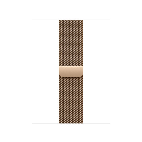 Watch Acc/42/Gold Milanese Loop