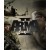Arma II Complete Collection, Arma 2