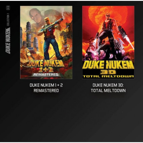 Home Console Cartridge 33. Duke Nukem Collection 1