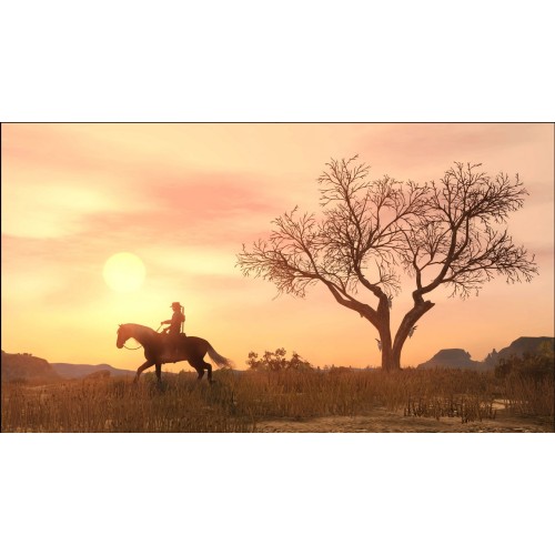 Red Dead Redemption