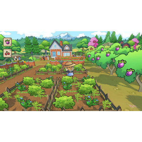 Echoes of the Plum Grove