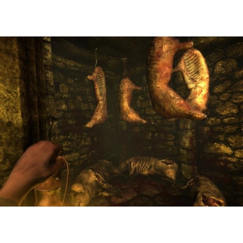 Amnesia The Dark Descent (Pád do temnoty)