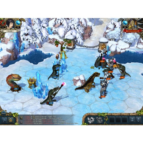 Kings Bounty Armored Princess