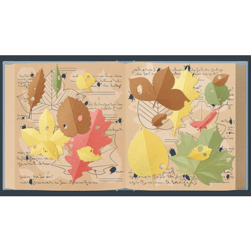 A Little to the Left: Extra Tidy Edition