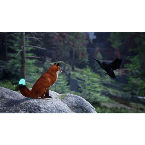 Spirit of the North 2