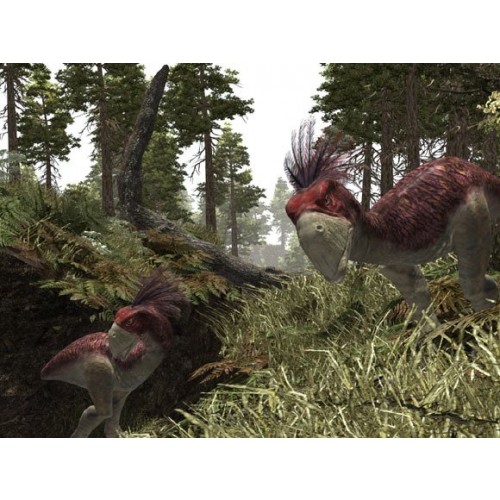 Gothic Universe Edition